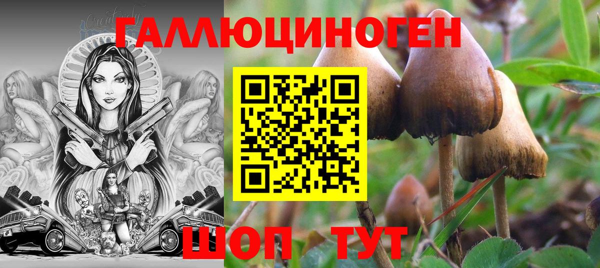 продажа наркотиков  Вход с VPN  Нефтекумск  Псилоцибиновые грибы ЛСД 